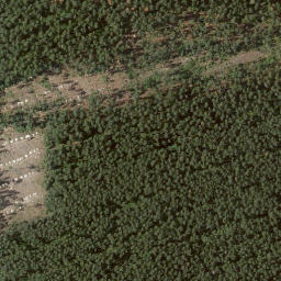 Satellite imagery of Bauenstein, DE
