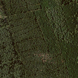 Satellite imagery of Bauenstein, DE