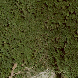 Satellite imagery of Hirzstein, DE