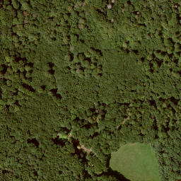 Satellite imagery of Hirzstein, DE