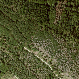 Satellite imagery of Roggenberg, DE