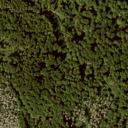 Satellite imagery of Roggenberg, DE