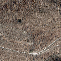 Satellite imagery of Kahlenberg, DE