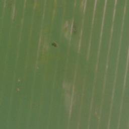 Satellite imagery of Kolmberg, DE