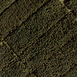 Satellite imagery of 174a, NL