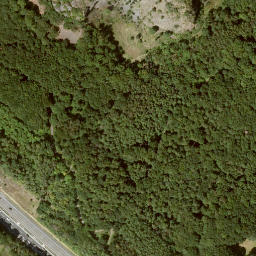 Satellite imagery of Hirzstein, DE