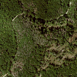 Satellite imagery of Roßkopf, DE