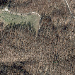Satellite imagery of Rachelsberg, DE