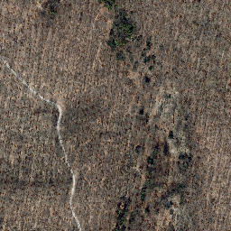 Satellite imagery of Rachelsberg, DE