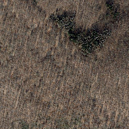 Satellite imagery of Rachelsberg, DE