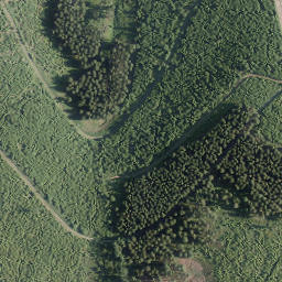 Satellite imagery of Goldener Strauch, DE