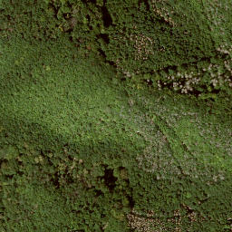 Satellite imagery of Roßkopf, DE