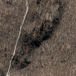 Satellite imagery of Rachelsberg, DE