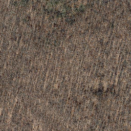 Satellite imagery of Rachelsberg, DE