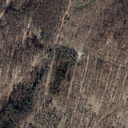 Satellite imagery of Martinfelder Schimberg, DE