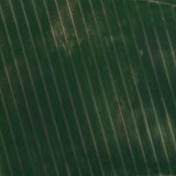 Satellite imagery of Dornberg, DE