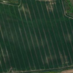 Satellite imagery of Dornberg, DE