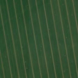 Satellite imagery of Breiter Hügel, DE