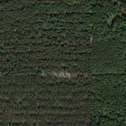 Satellite imagery of Steinberg, DE