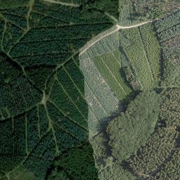 Satellite imagery of Haunscheid, DE