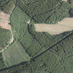 Satellite imagery of Born, DE