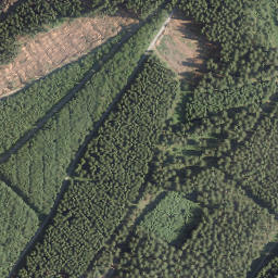 Satellite imagery of Ostenberg, DE