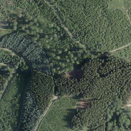 Satellite imagery of Goldener Strauch, DE