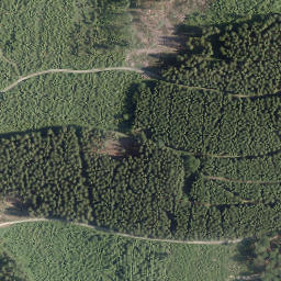 Satellite imagery of Goldener Strauch, DE