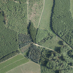 Satellite imagery of Pahen-Berg, DE