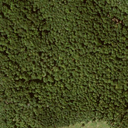 Satellite imagery of Krückenkopf, DE