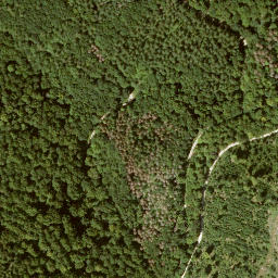 Satellite imagery of Krückenkopf, DE