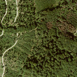 Satellite imagery of Krückenkopf, DE