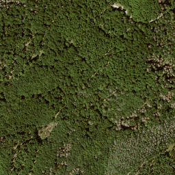 Satellite imagery of Roßkopf, DE