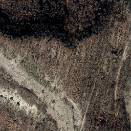 Satellite imagery of Rachelsberg, DE