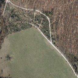 Satellite imagery of Rachelsberg, DE