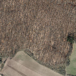 Satellite imagery of Rachelsberg, DE