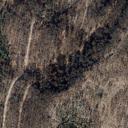Satellite imagery of Martinfelder Schimberg, DE