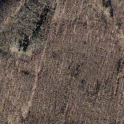 Satellite imagery of Martinfelder Schimberg, DE