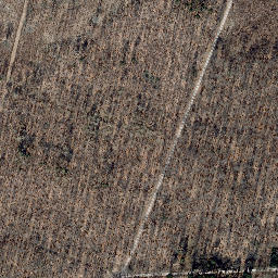 Satellite imagery of Martinfelder Schimberg, DE