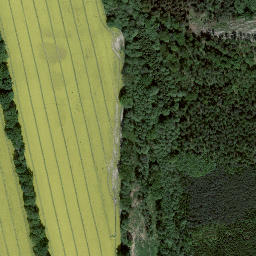 Satellite imagery of survey_point, PL