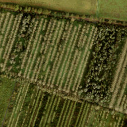 Satellite imagery of 187, NL