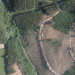 Satellite imagery of Born, DE