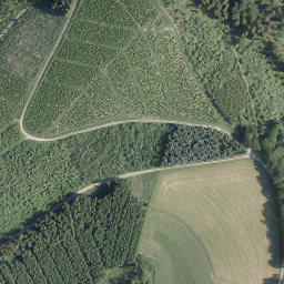 Satellite imagery of Goldener Strauch, DE