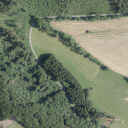 Satellite imagery of Goldener Strauch, DE