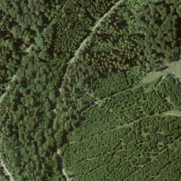 Satellite imagery of Musenberg, DE