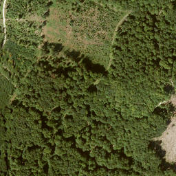 Satellite imagery of Krückenkopf, DE