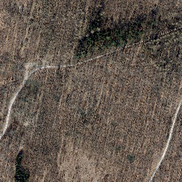 Satellite imagery of Martinfelder Schimberg, DE