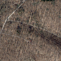 Satellite imagery of Martinfelder Schimberg, DE