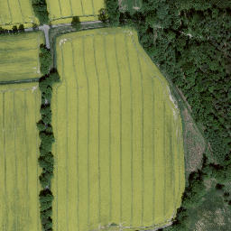 Satellite imagery of survey_point, PL