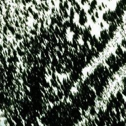 Satellite imagery of McGill Pass, CA